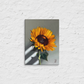 Wakeup Bloom