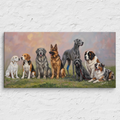 Canine Camp